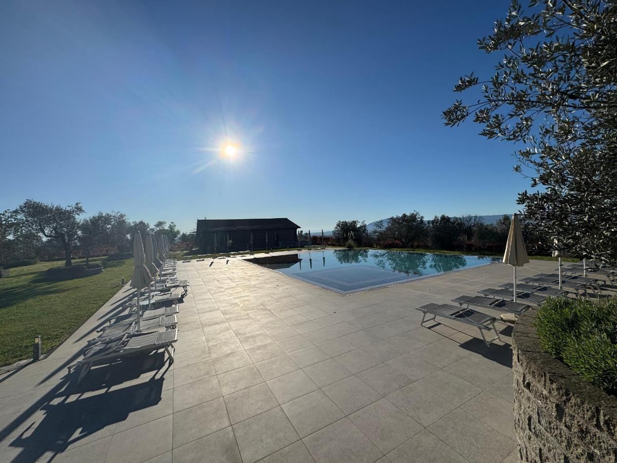 Piscina di Villa Paladini o nelle vicinanze