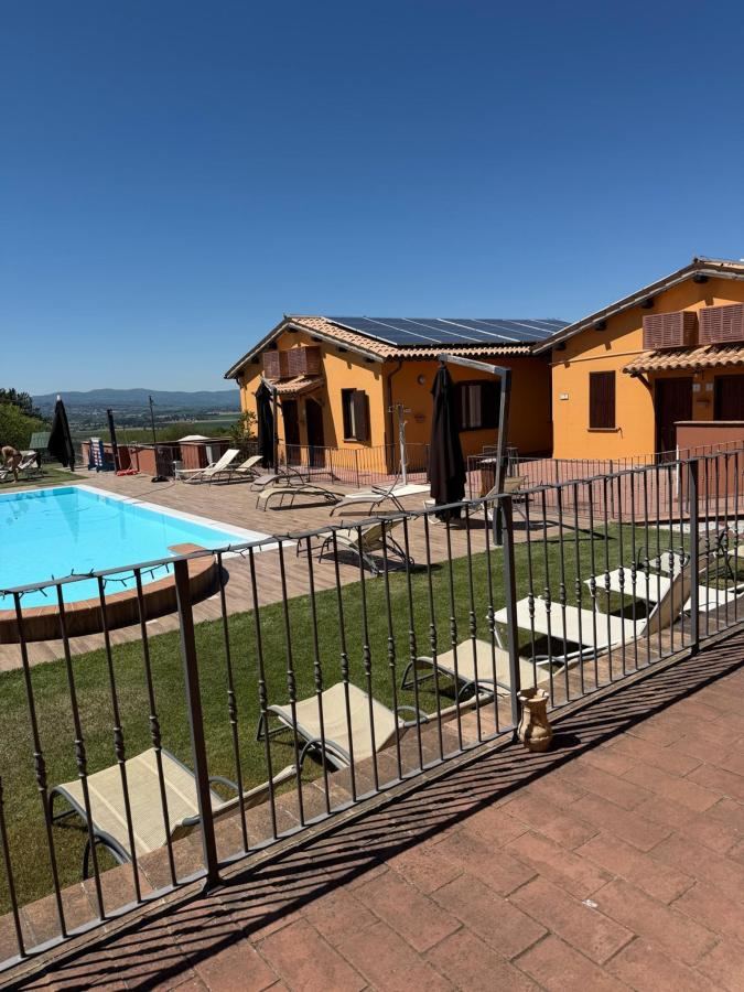 Piscina di Il Borgo Dell'Ulivo o nelle vicinanze