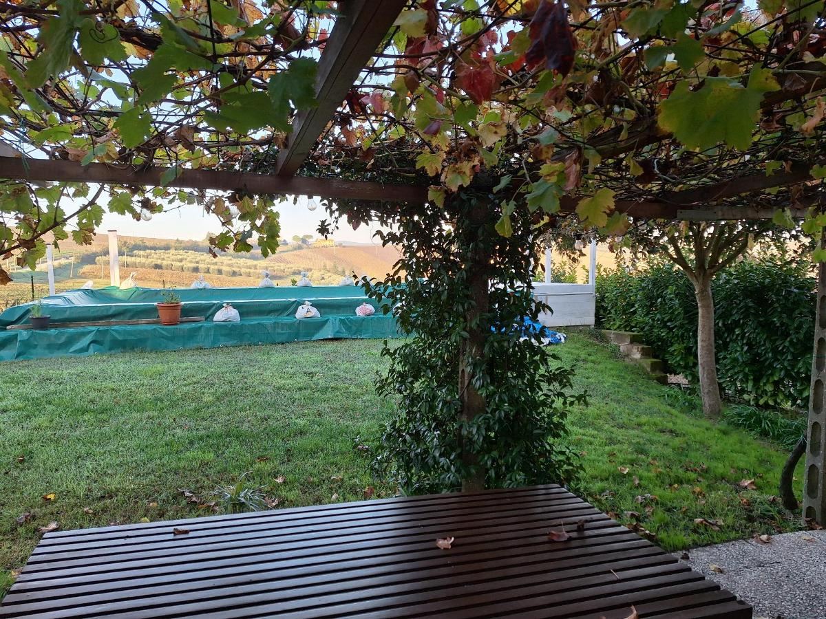 Giardino di AGRITURISMO LA MOROLLA