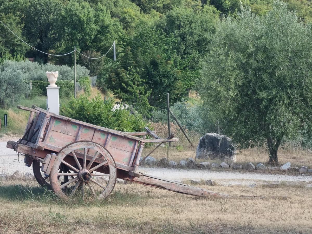 Giardino di Agriturismo San Martino