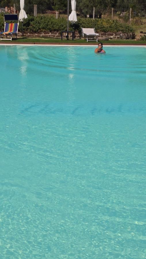 Piscina di agriturismo oca giuliva o nelle vicinanze