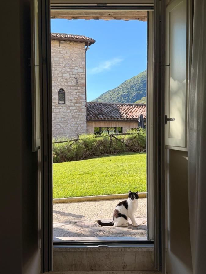 Vista generica sulle montagne o vista sulle montagne dall'interno dell'agriturismo