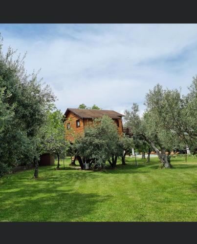 Palazzo Conforti Tree House Resort
