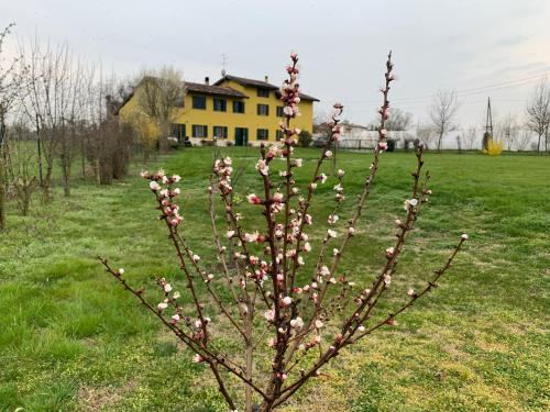Sangiligio Countryside Villa, Private Rooms w Kitchen, Bath, Private Entrance, Crema
