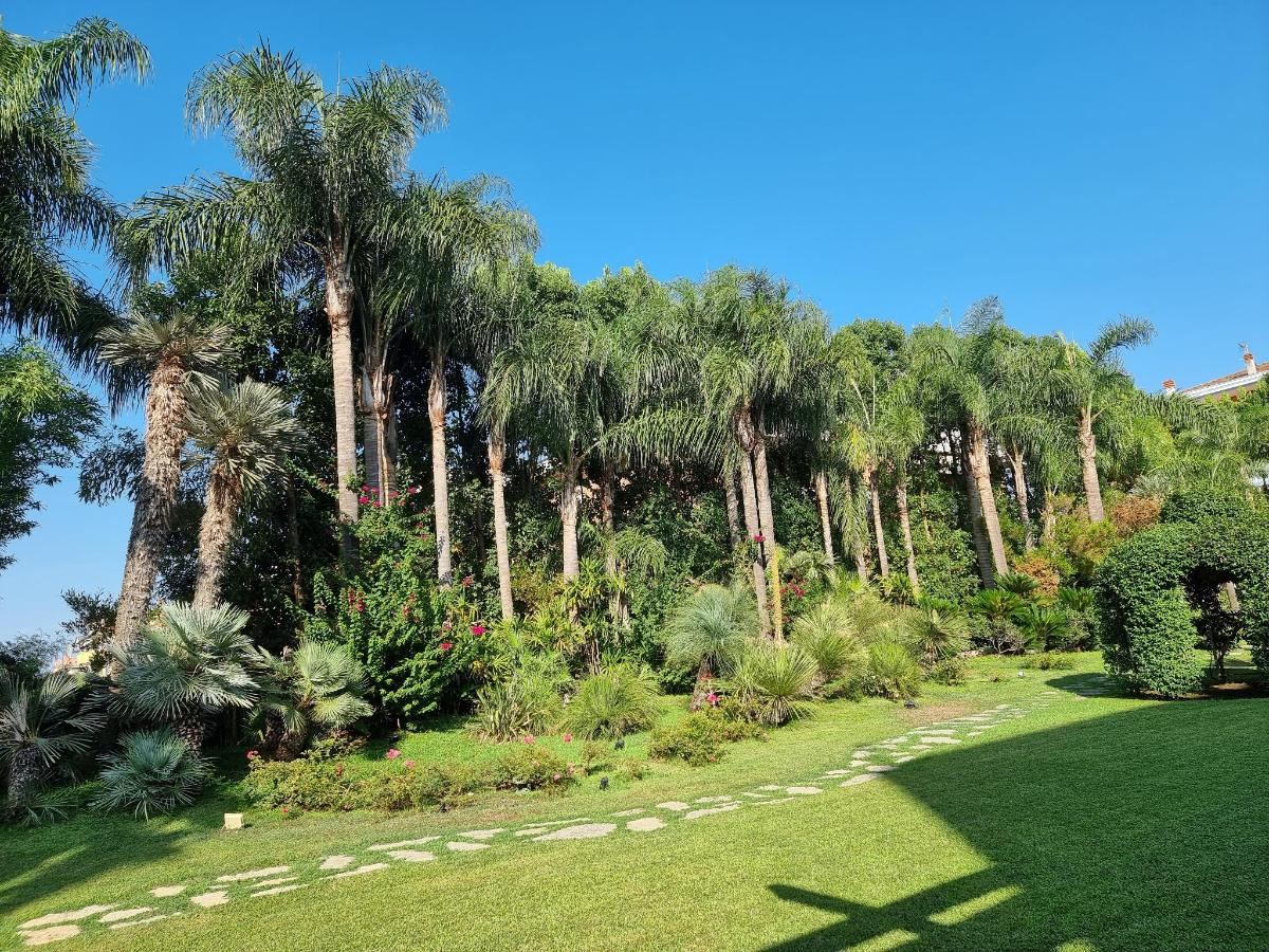 Giardino di Hotel Ares
