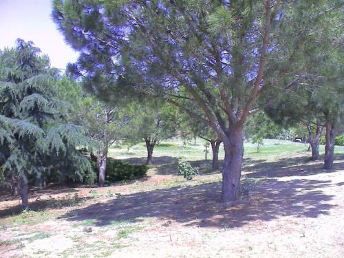 Borgo Piazza Country Farm