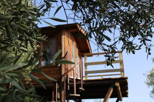 The Treehouse - Casa sull'albero al Golden Camp