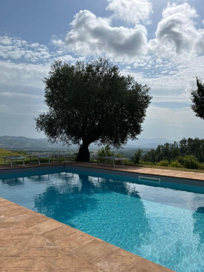 Piscina di Azienda Agraria Montelujano o nelle vicinanze