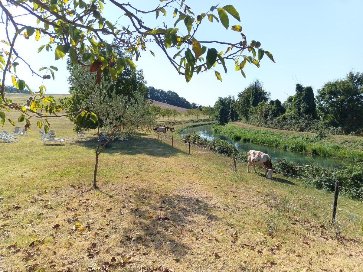 Giardino di Relais Villa D'Assio