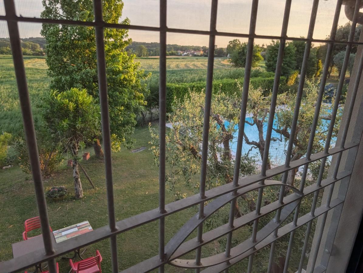 Piscina di agriturismo" il glicine bianco" o nelle vicinanze