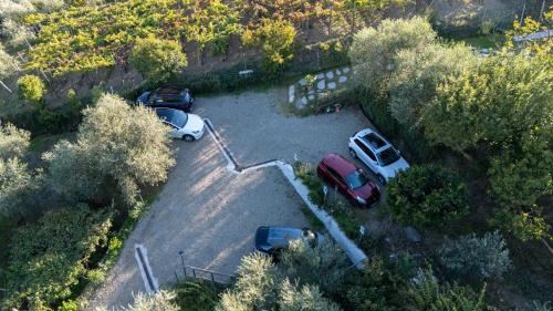 Agriturismo La Collina Verde