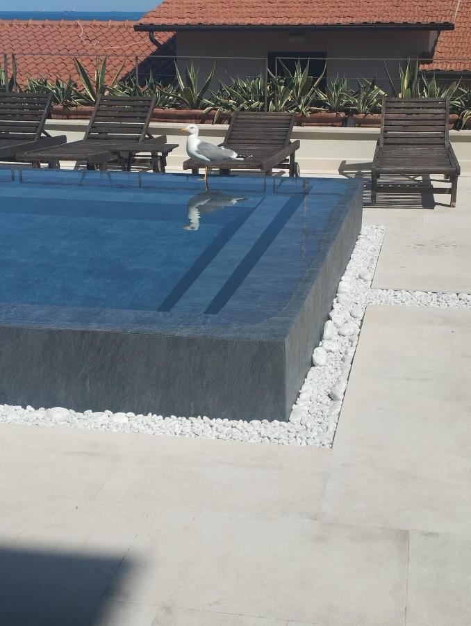 Piscina di Villa Martini o nelle vicinanze