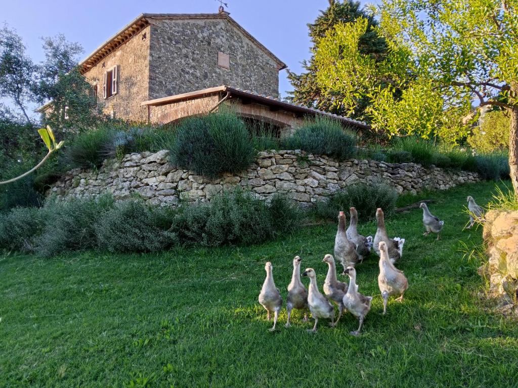 La Nocciolaia