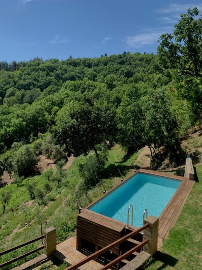 Piscina di Borgo Cardaneto o nelle vicinanze
