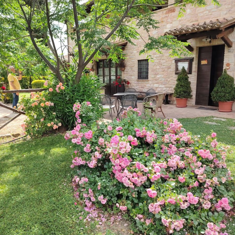 Giardino di Terre Del Cantico Country House
