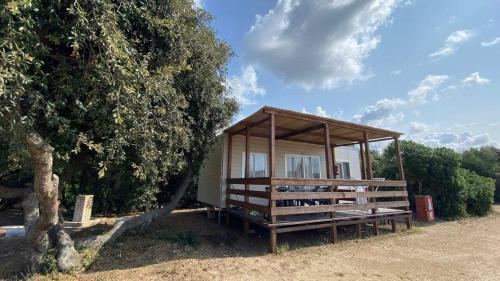 Camping Internazionale Di Castelfusano