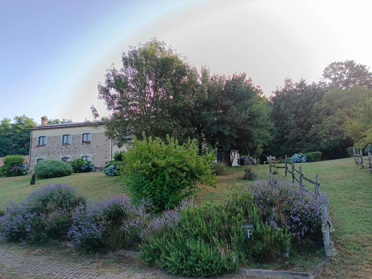 Giardino di La Rosa Nel Bicchiere