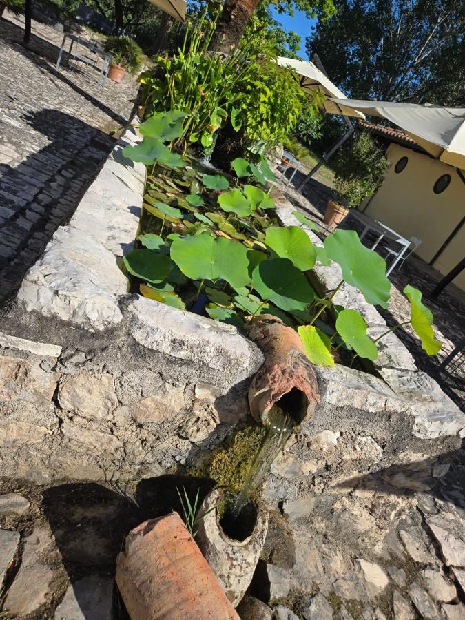 Giardino di Foro Appio Mansio Hotel