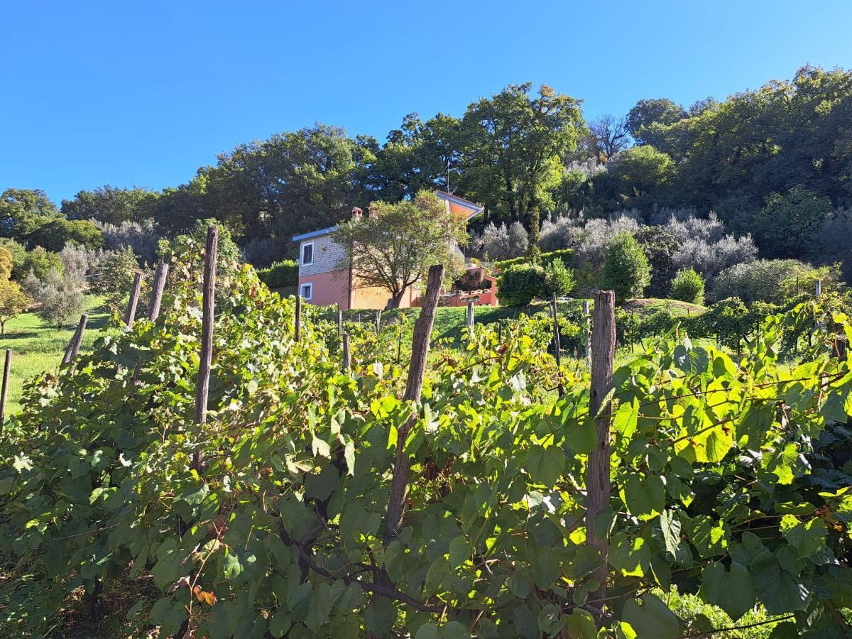 Giardino di Villino con piscina