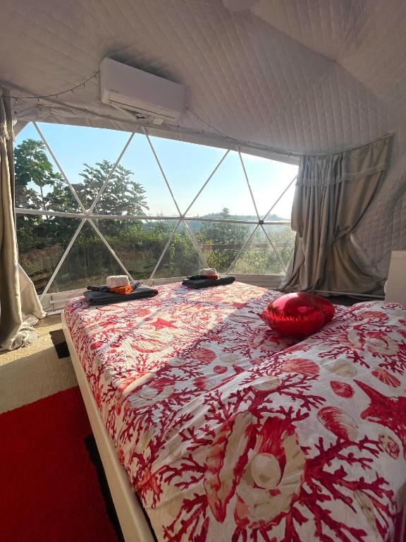 Glamping Lost