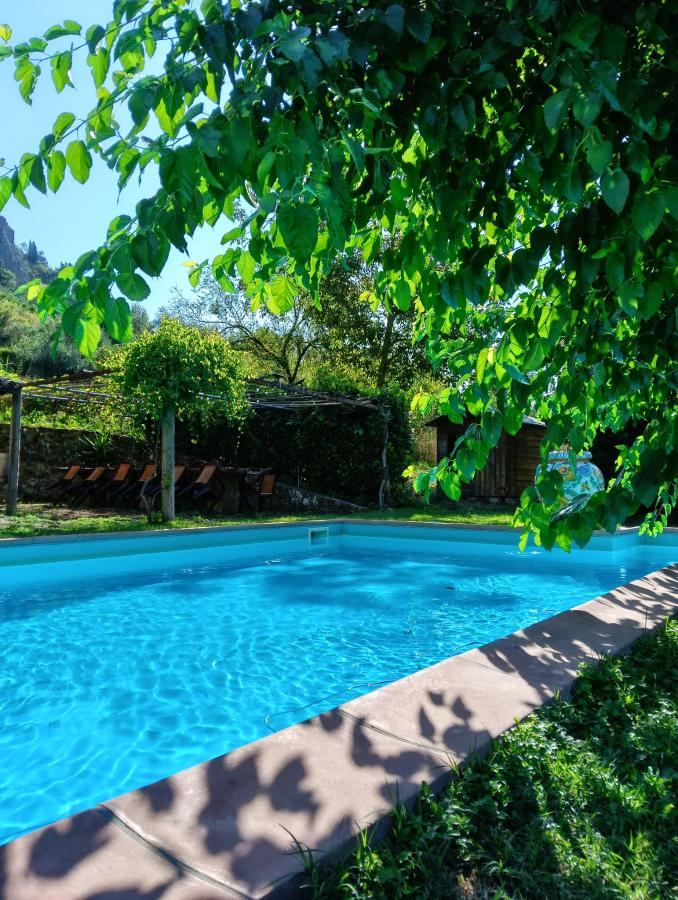 Piscina di Il sogno umbro o nelle vicinanze