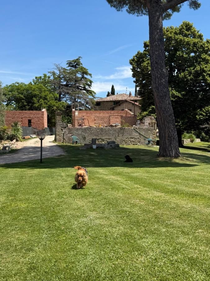 Giardino di Country House La Casa Paterna