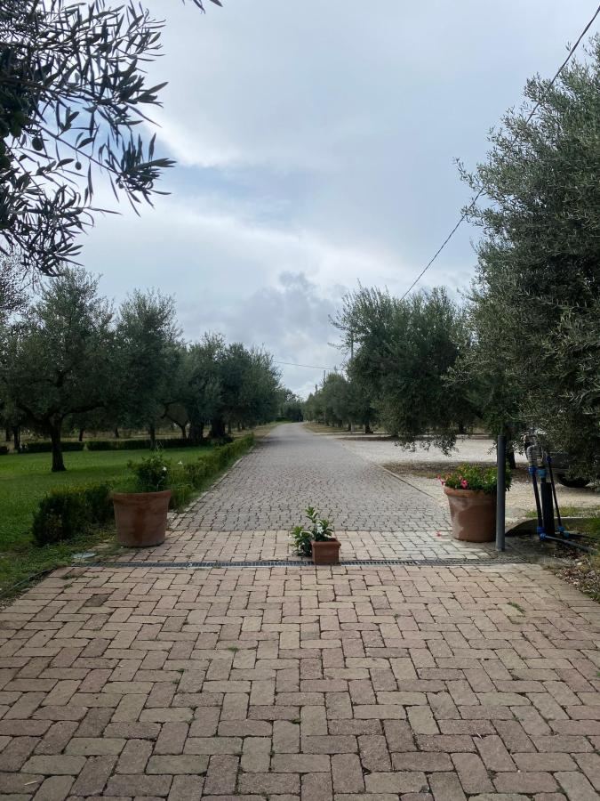 Giardino di Agriturismo La Rustica