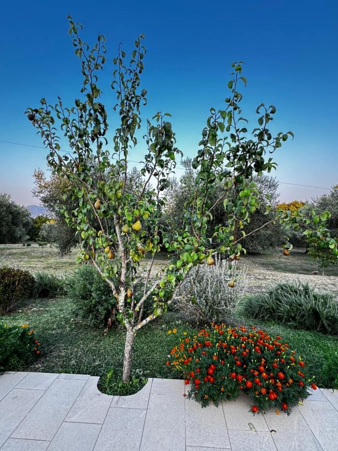 Giardino di I Massi