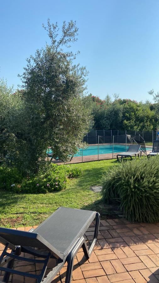Piscina di Il Casale degli Ulivi - Agriturismo - TENIMENTI LEONE o nelle vicinanze