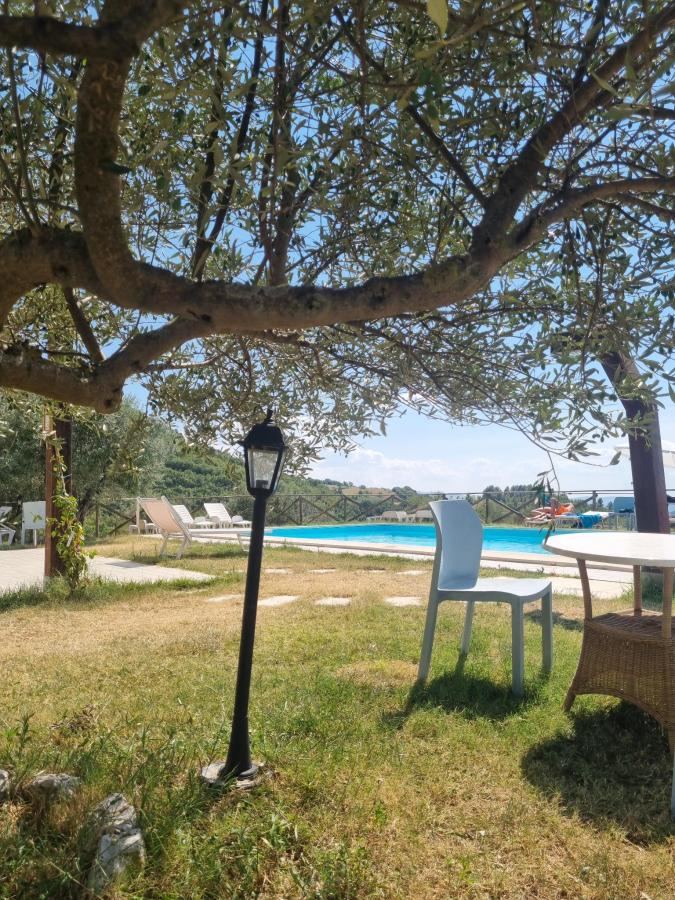 Piscina di Agriturismo San Martino o nelle vicinanze