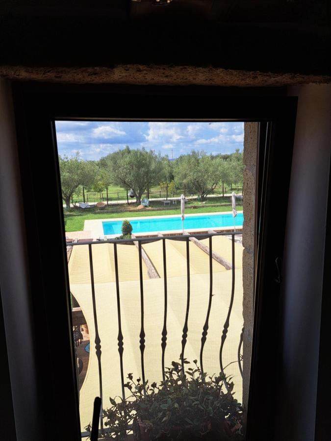 Piscina di FicOlivo o nelle vicinanze