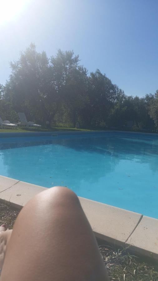 Piscina di Country House Maremma Nel Tufo o nelle vicinanze