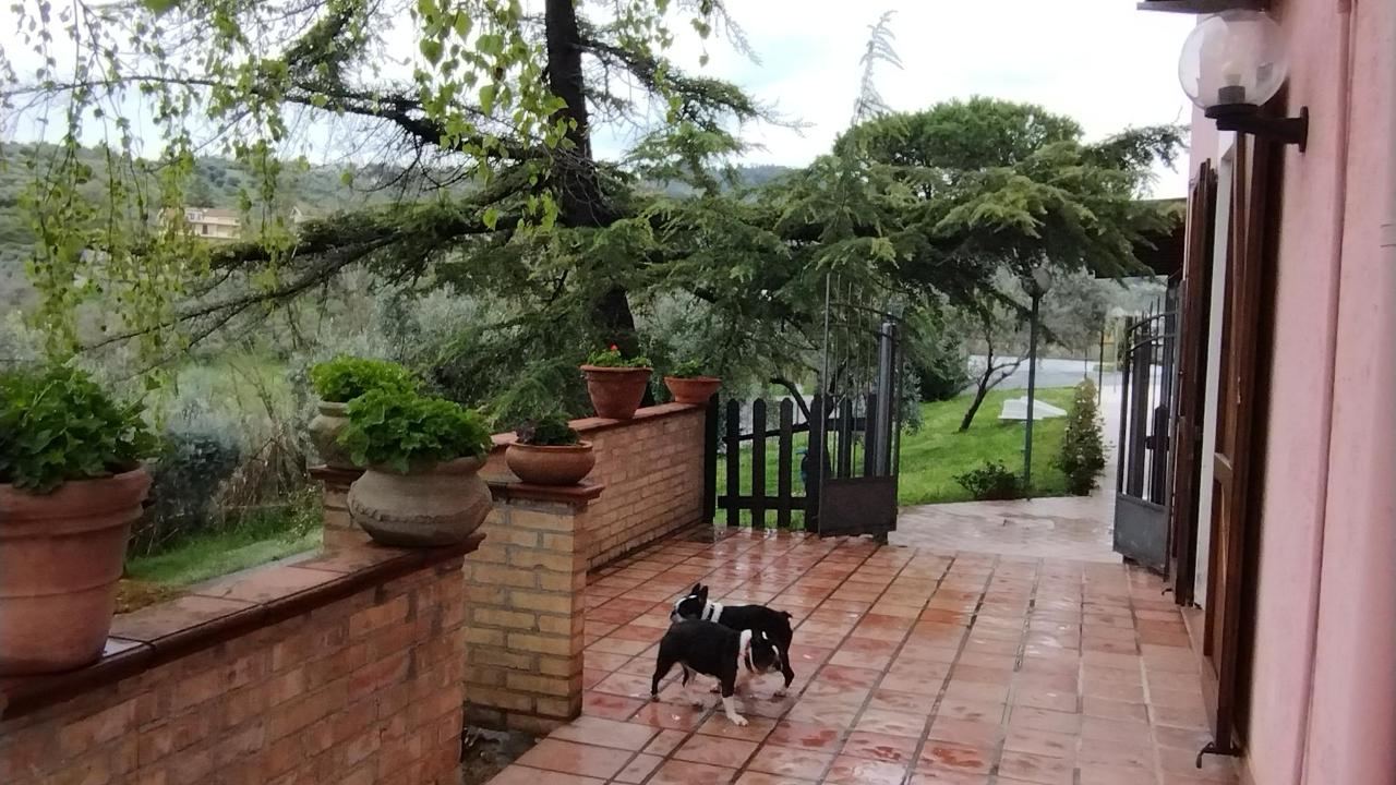 Ospiti di Queen Hotel con animali domestici