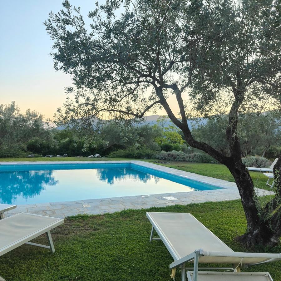 Piscina di Le Ninfee o nelle vicinanze