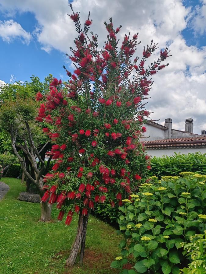 Giardino di Hotel Villa Delle Meraviglie