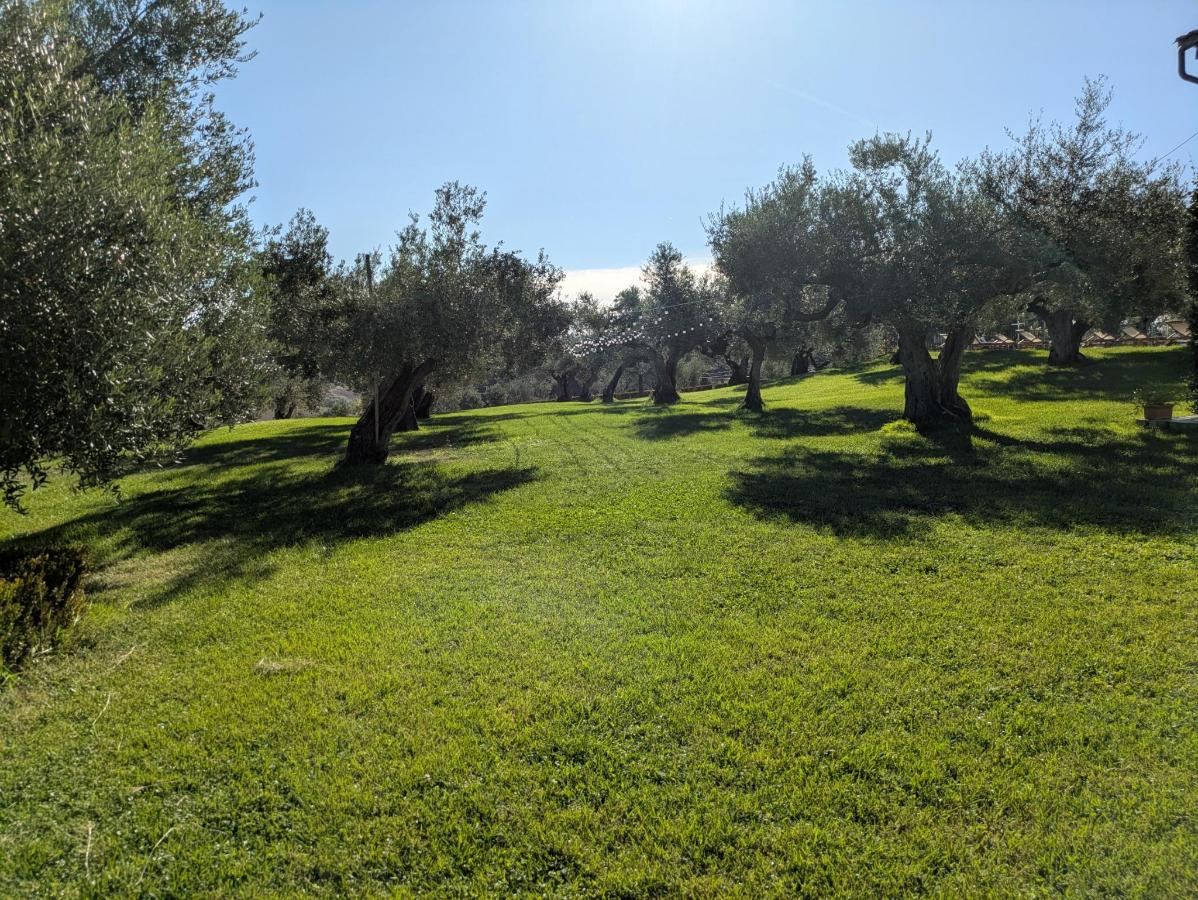 Giardino di Agriturismo La Rustica