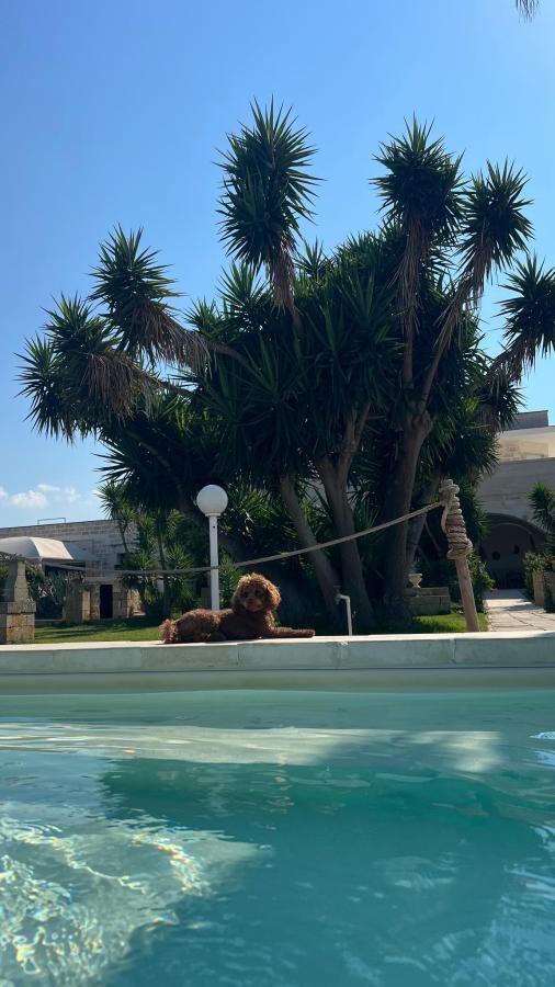 Piscina di Agriturismo Antares o nelle vicinanze