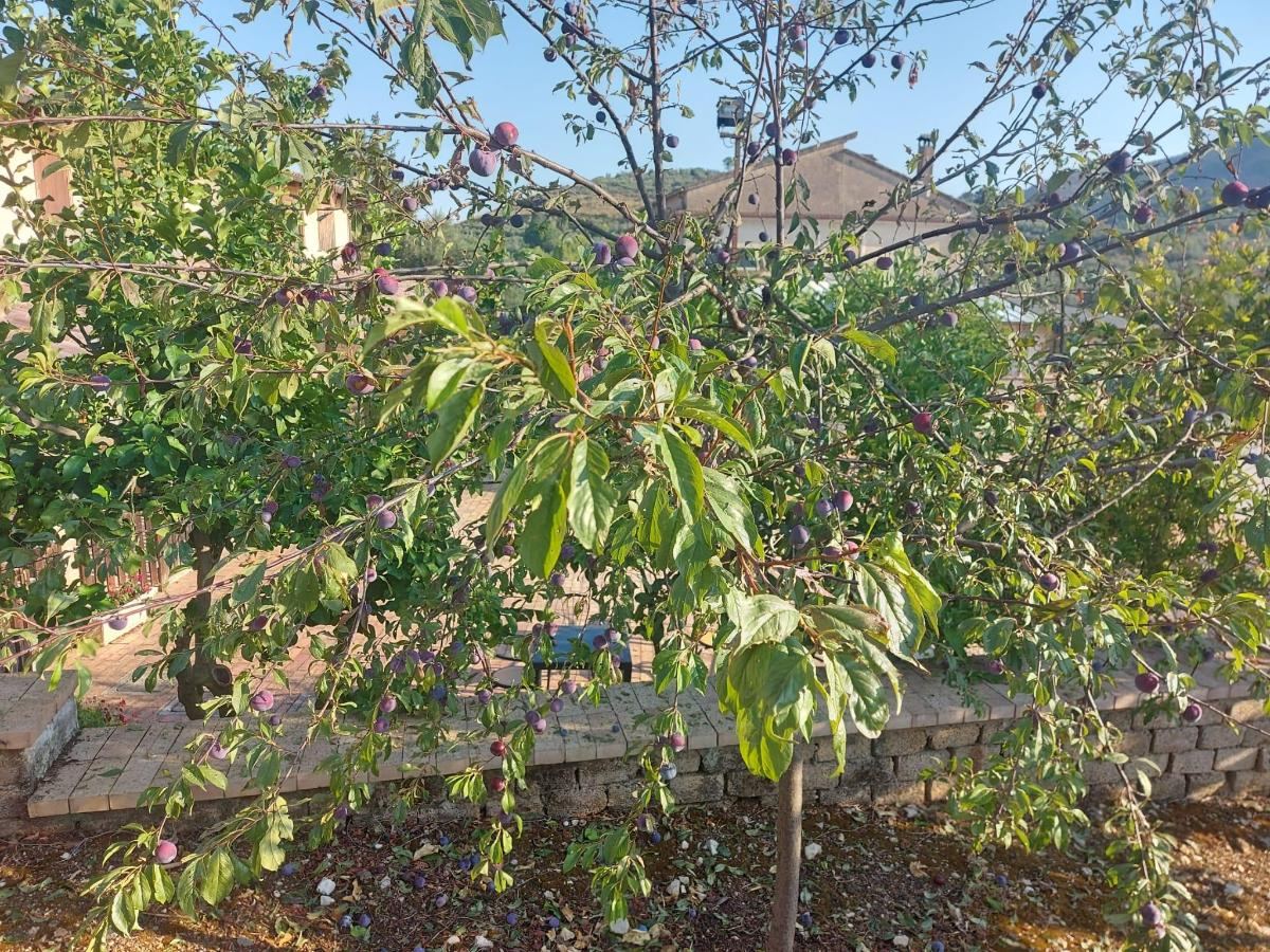 Giardino di Casale di Valle Fredda