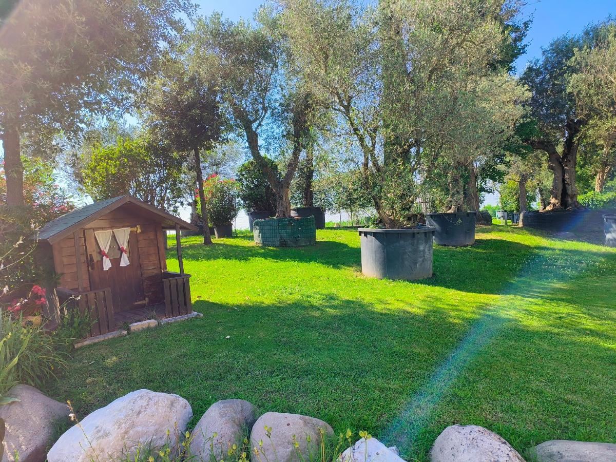 Giardino di agriturismo" il glicine bianco"