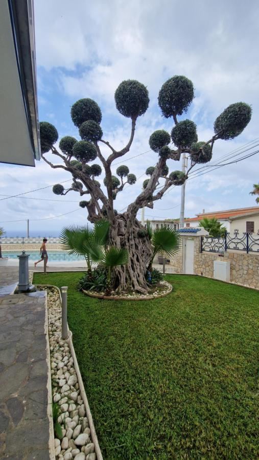 Giardino di VILLA LUDO a ZAMBRONE TROPEA
