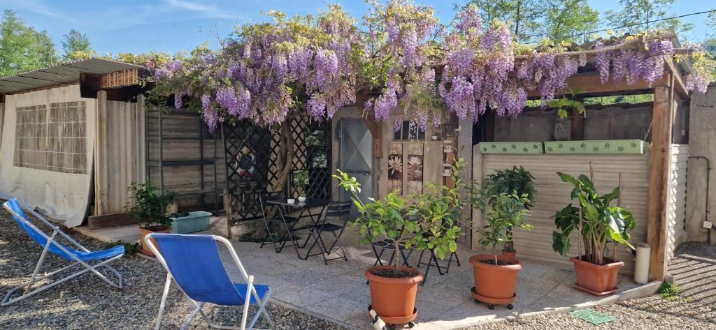 Il Mulino B&B