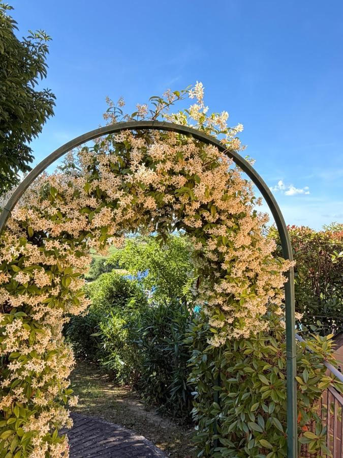 Giardino di Agriturismo Tenuta Badia