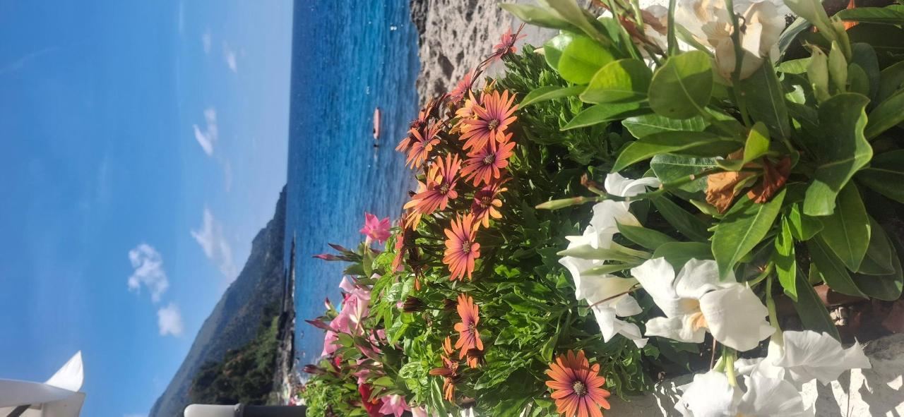 Paesaggio naturale nelle vicinanze dell'hotel