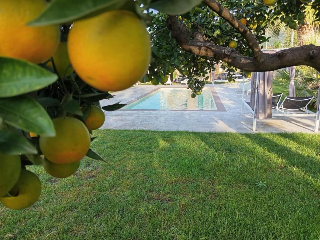 B&B Villa Limão