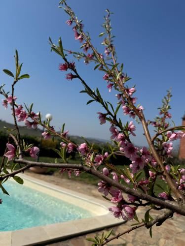 Agriturismo Ca d'Linet