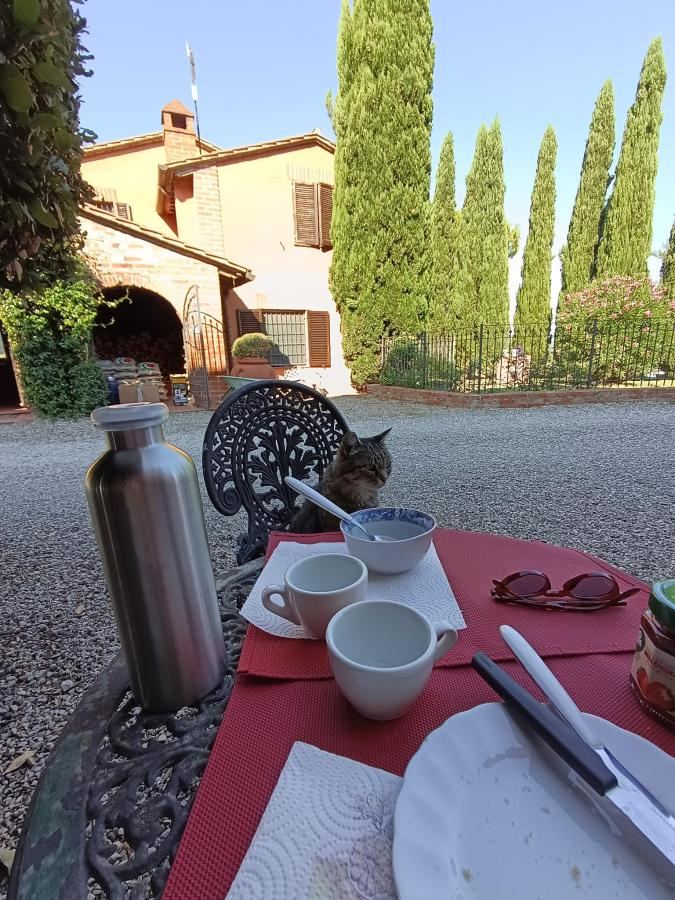 Giardino di Agriturismo Palazzo Val Del Sasso