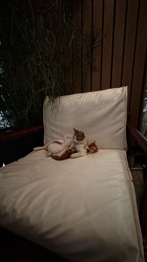 Letto o letti in una camera di Agriturismo Terra Del Vento