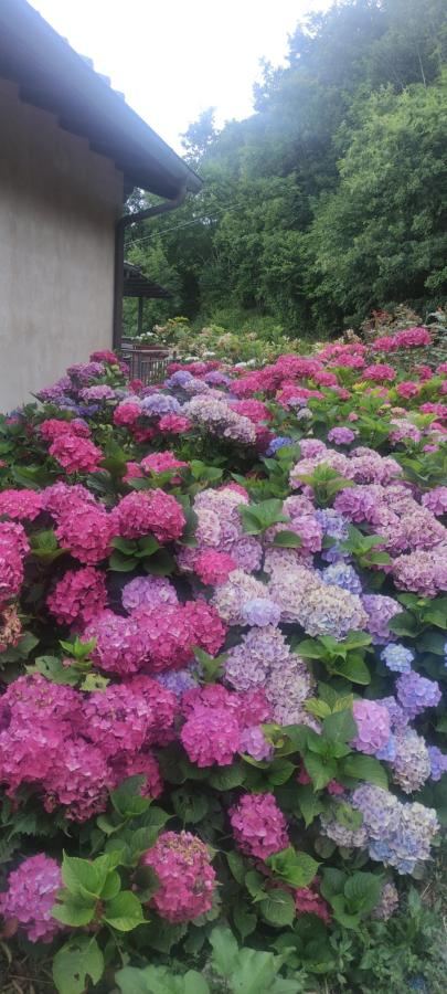 Giardino di Spino Fiorito Stay