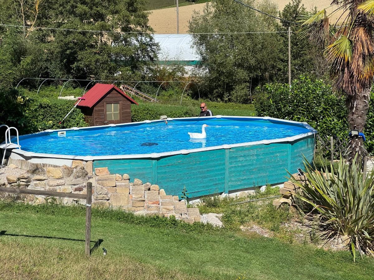Piscina di La Pietra Rara B&B o nelle vicinanze