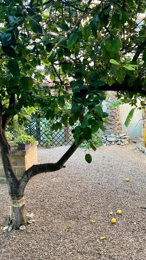 Giardino di Agriturismo Antares
